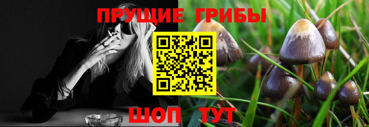 Лосино-Петровский  Галлюциногенные грибы Cubensis  Вход с VPN 